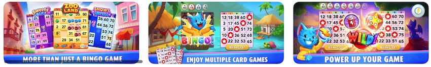 bingo blitz