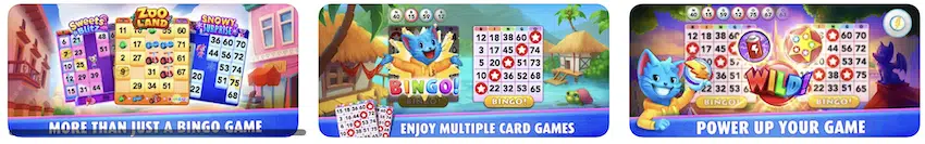 bingo blitz