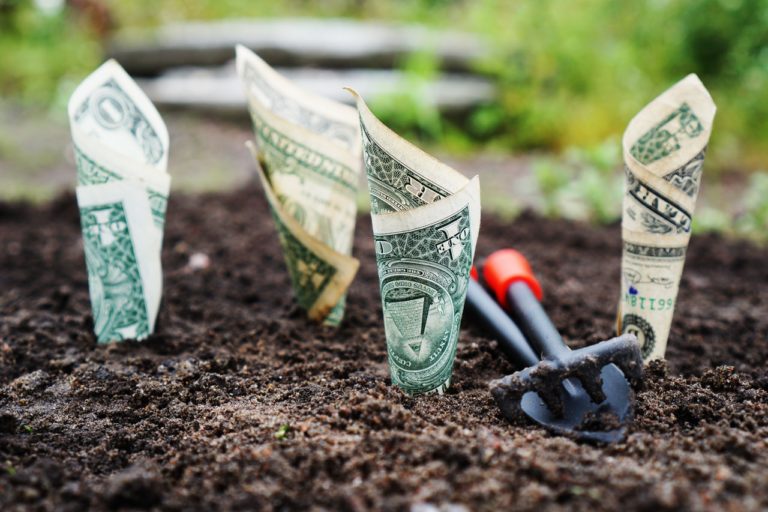 How To Grow Your Wealth and Net Worth How To Grow Your Wealth and Net Worth
