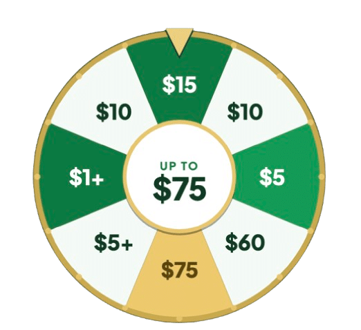 SavingLoop spin wheel
